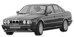 BMW E34 P0A0C Fault Code
