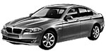 BMW F10 P0A0C Fault Code